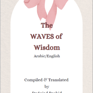 the waves of wisdom